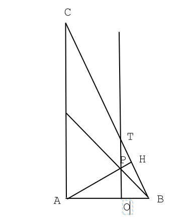 Triangolo 3.jpg